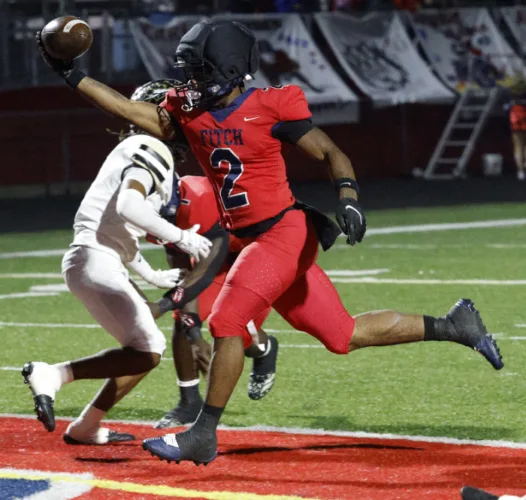 Falcons soar past Warren Harding